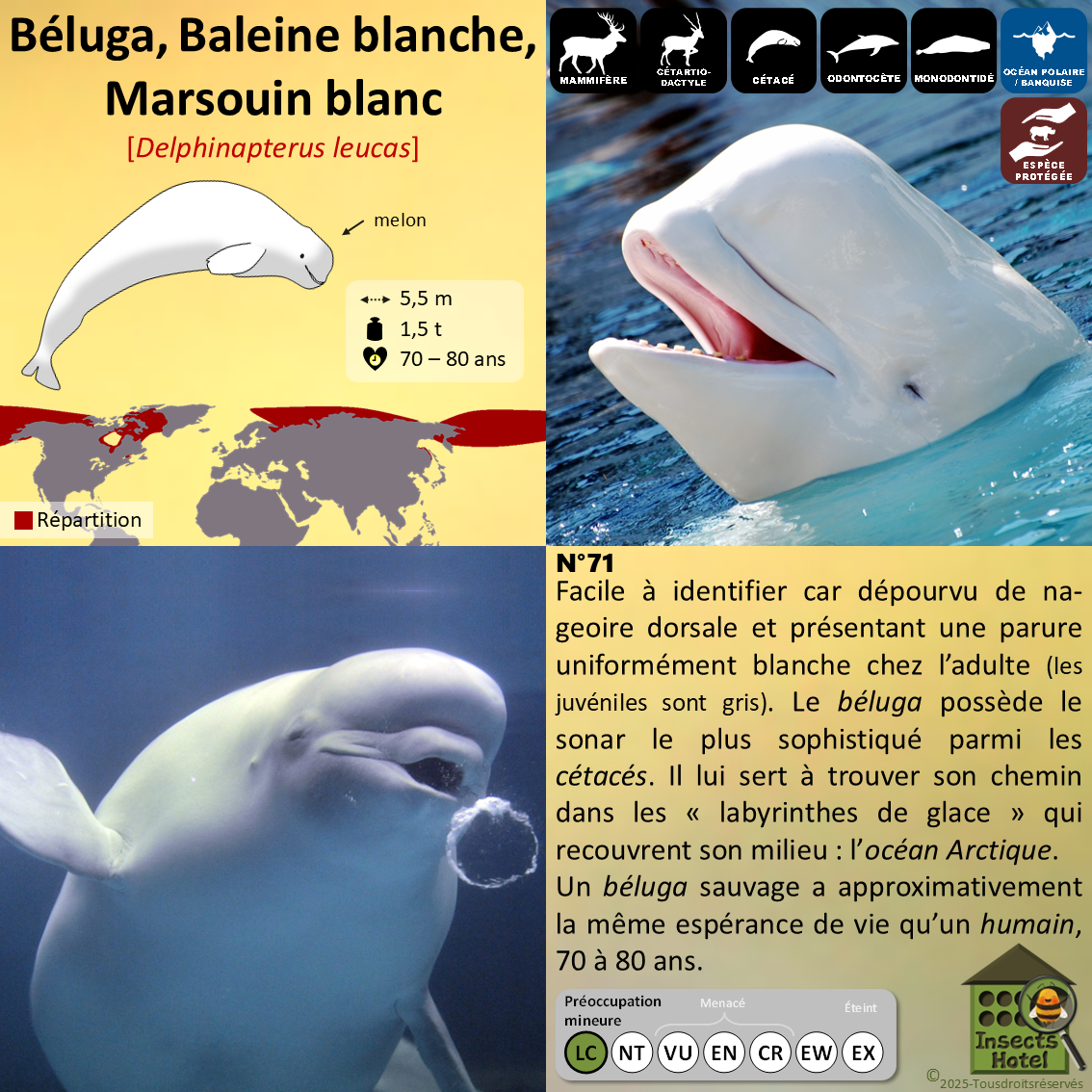 product_image_112483