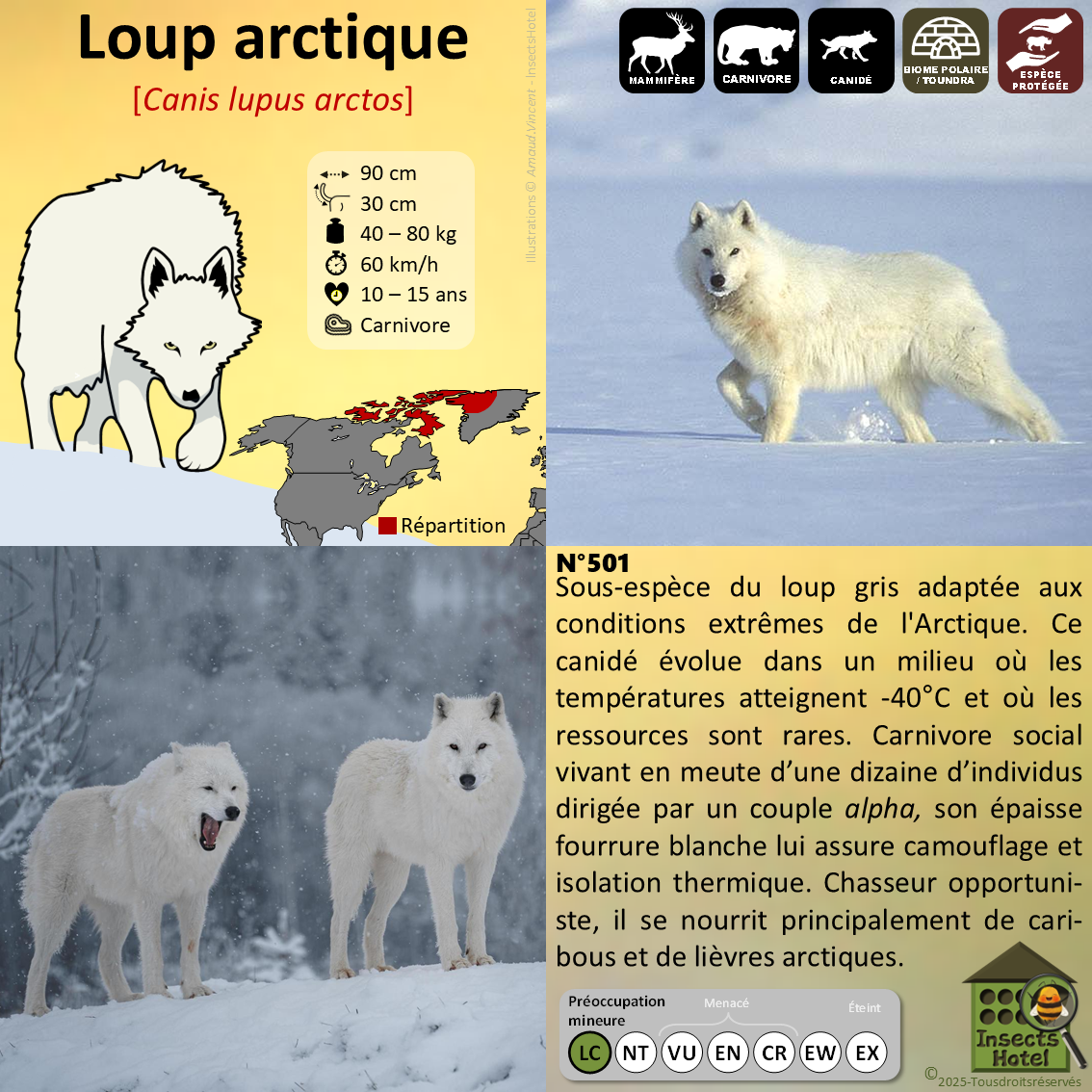 product_image_376044