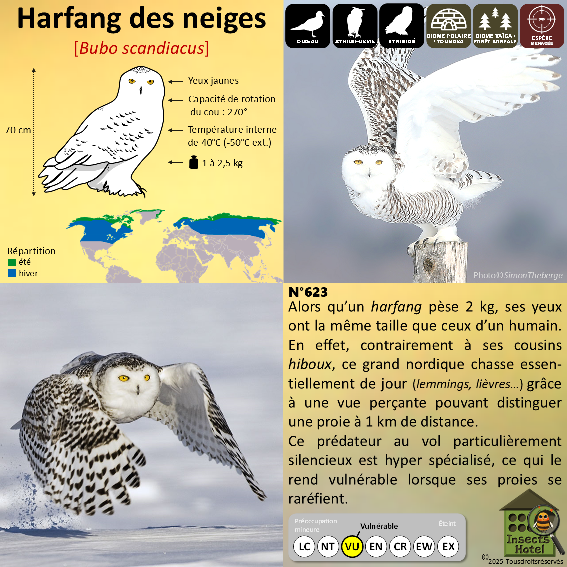 product_image_545340