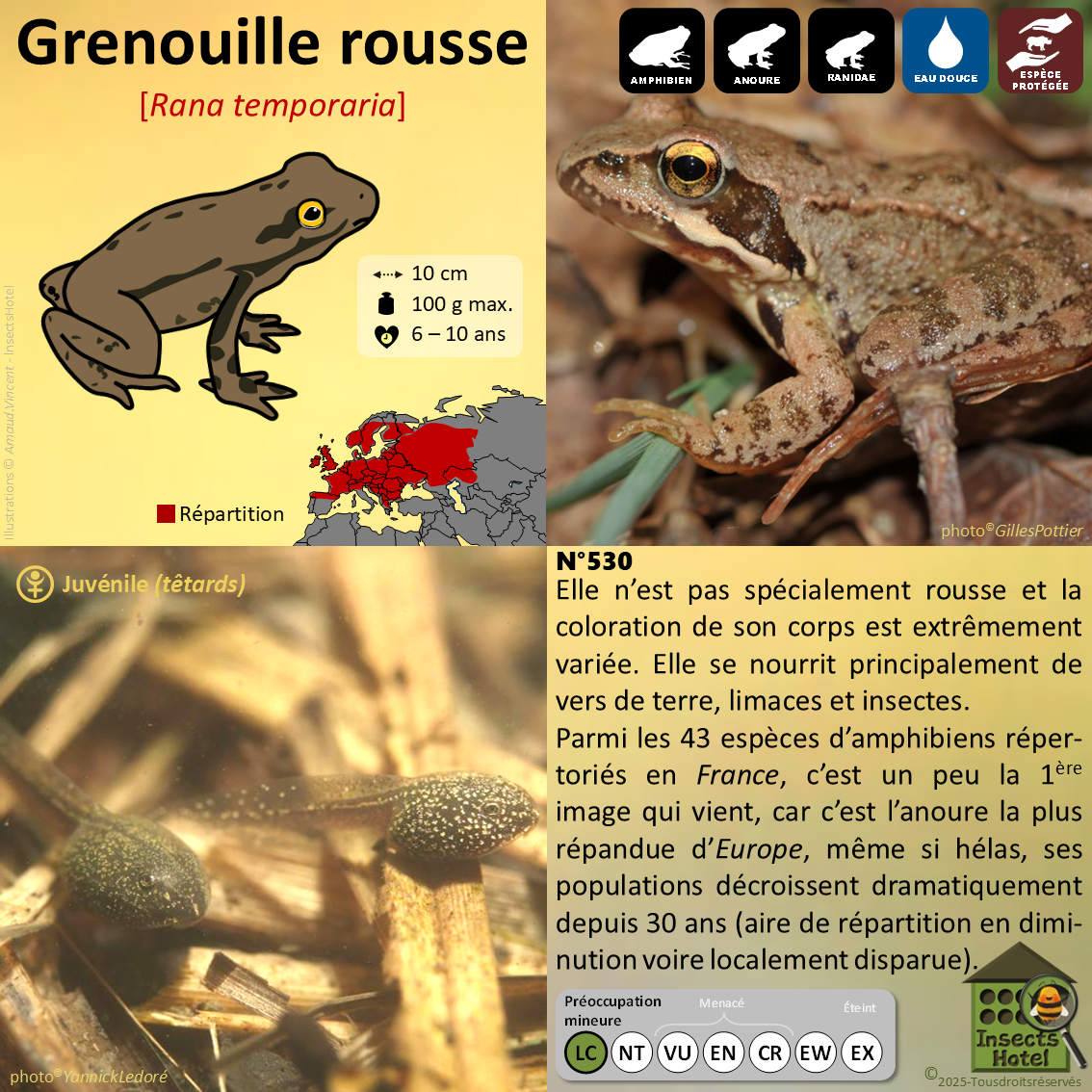 product_image_668100