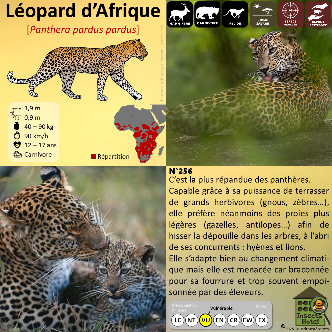 product_image_799765