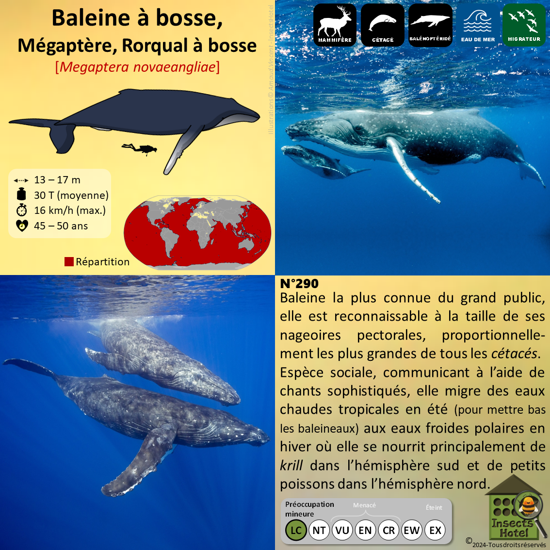 product_image_779911