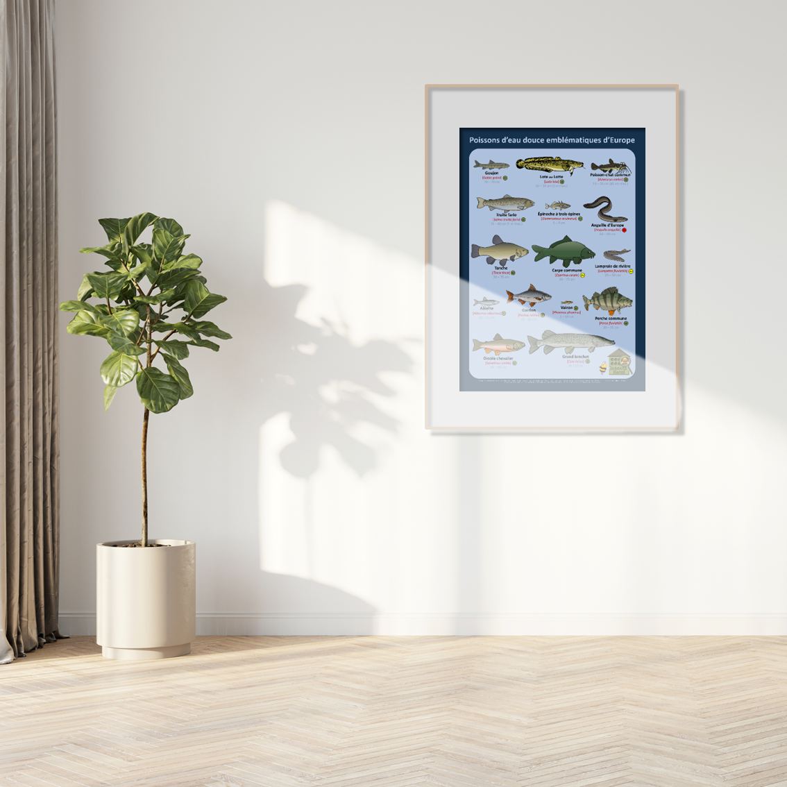 product_image_731823