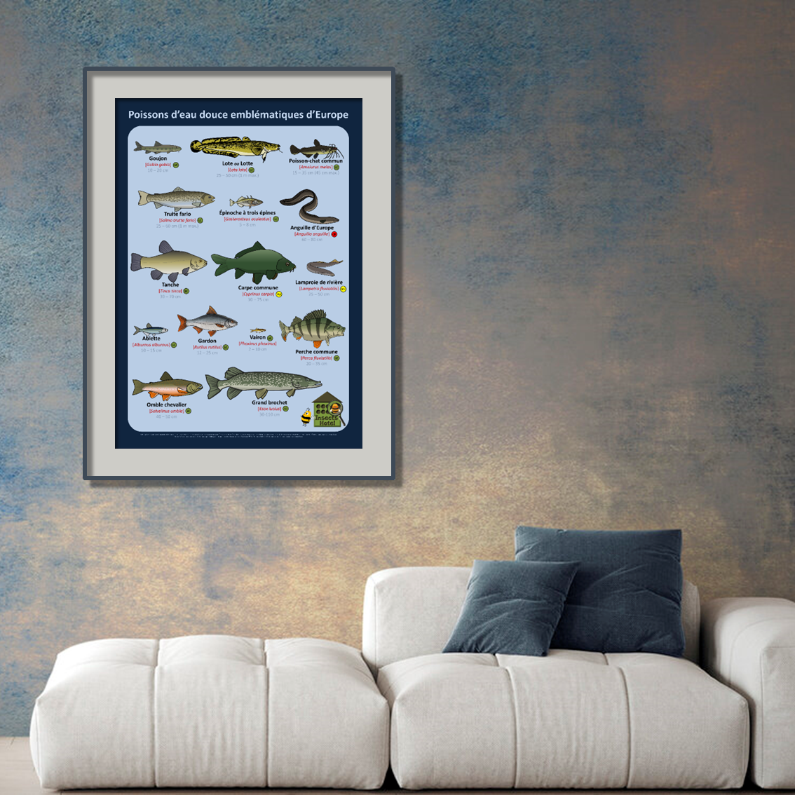 product_image_396721