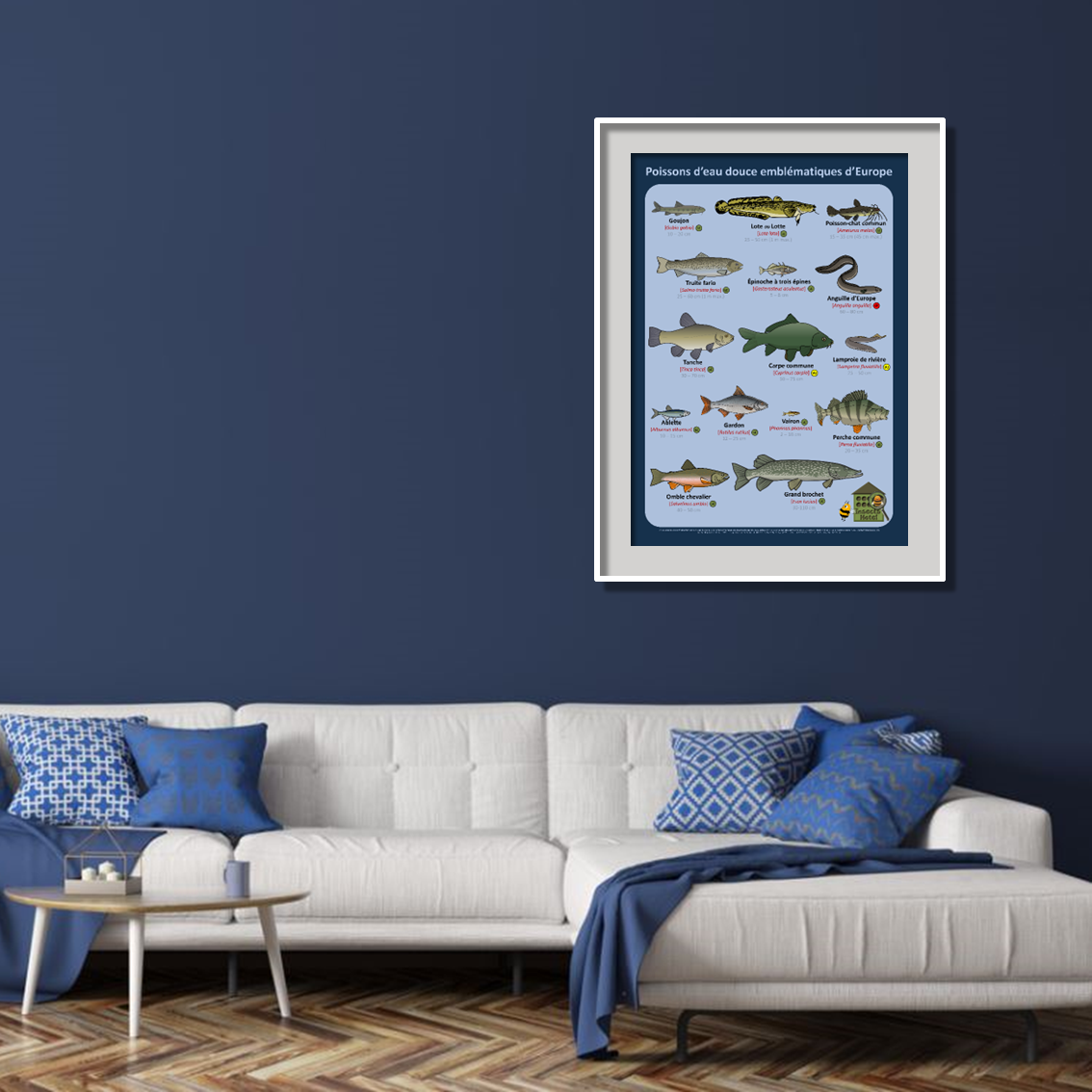 product_image_641268