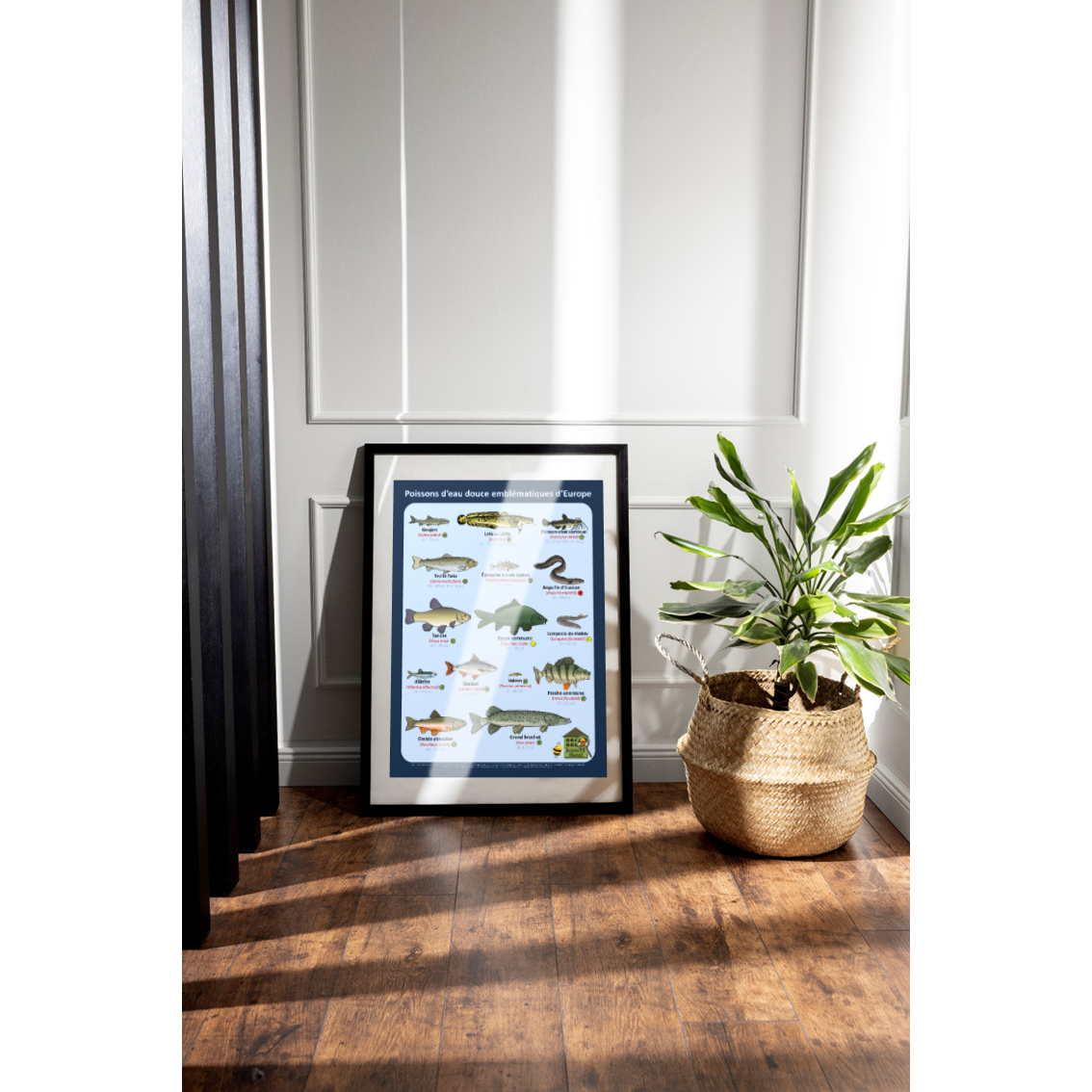 product_image_813657