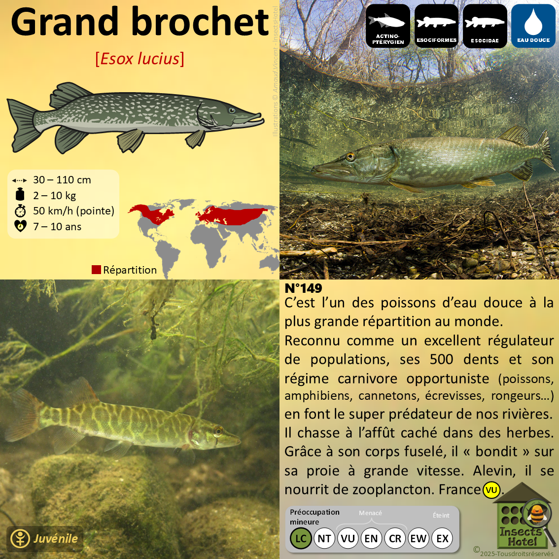 product_image_475642