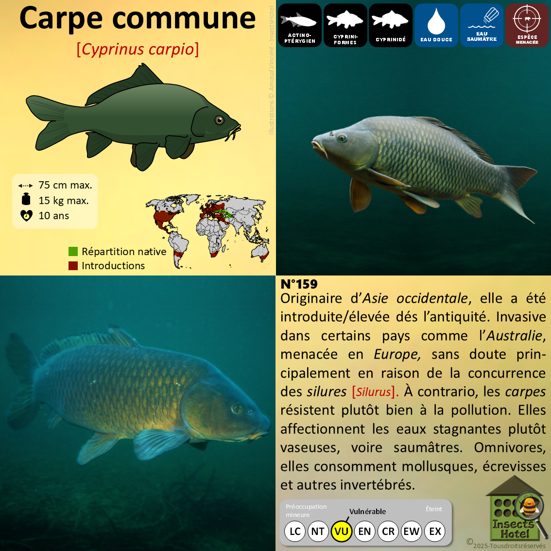 product_image_777126