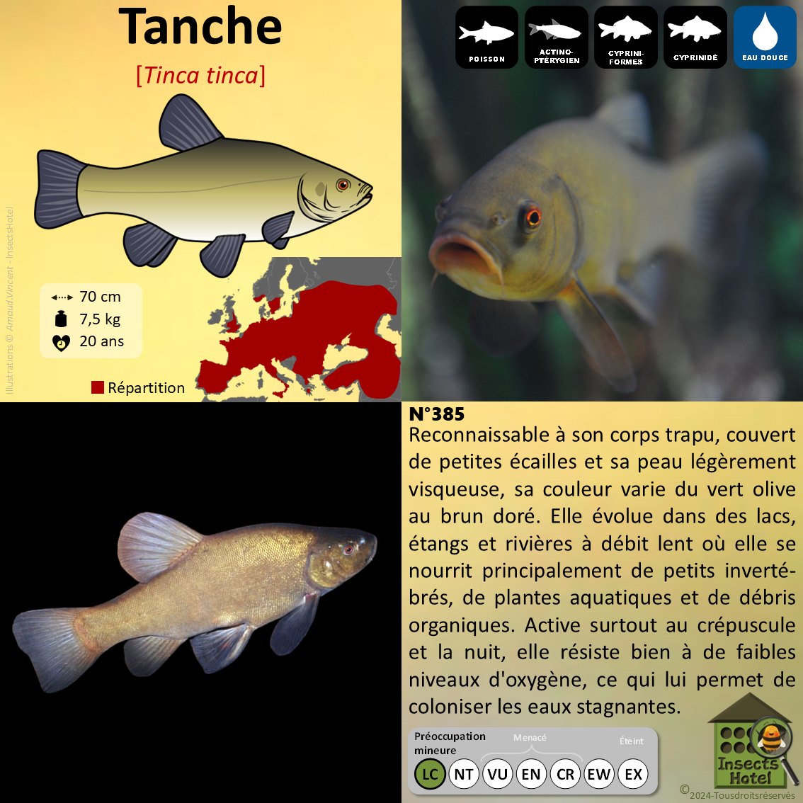 product_image_974220