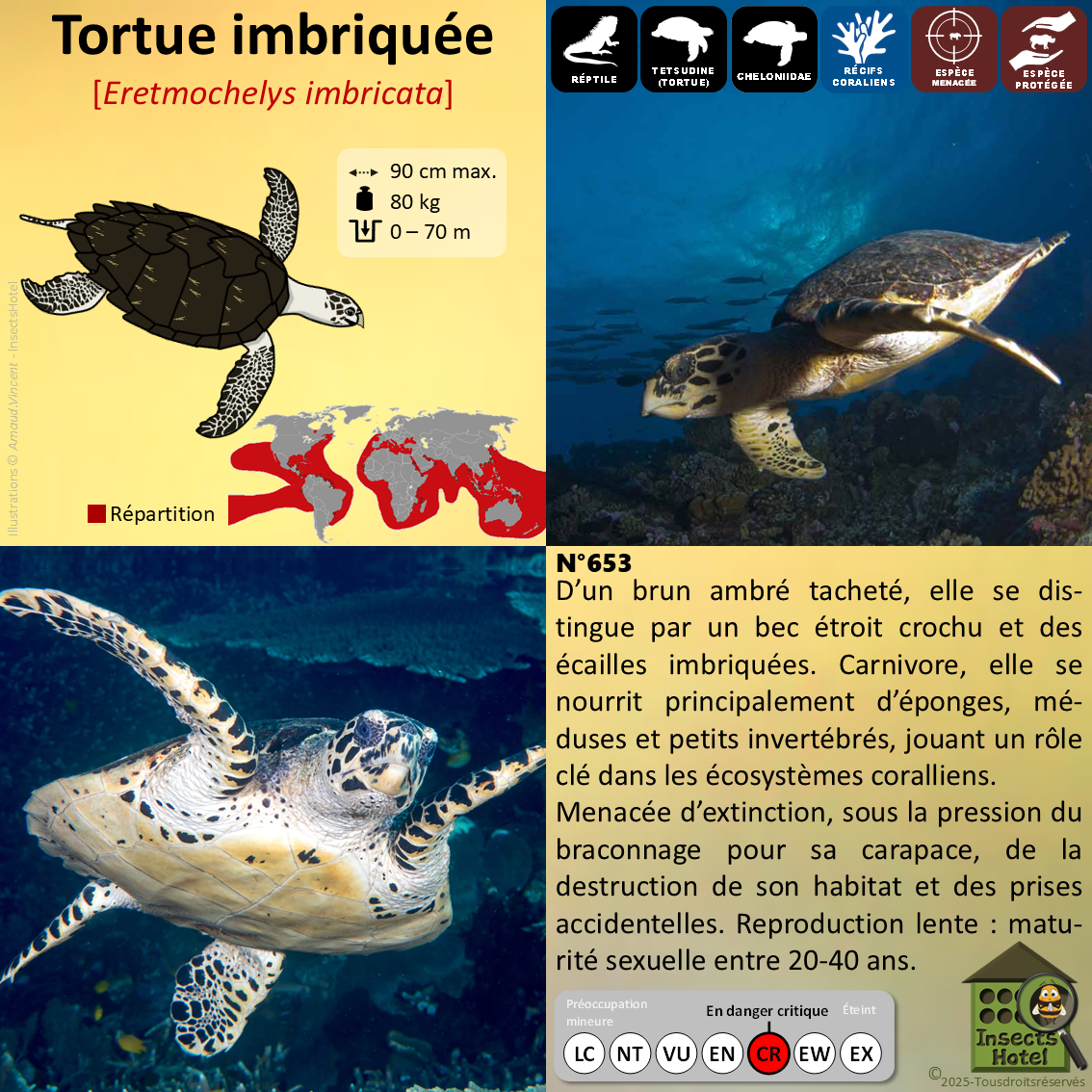 product_image_964834