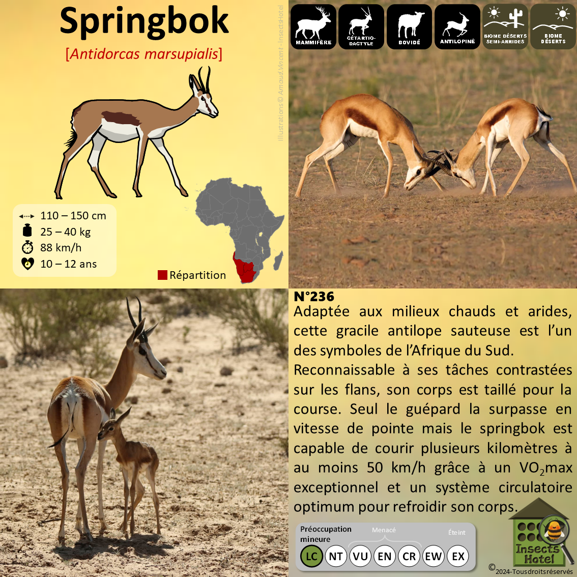 product_image_480018