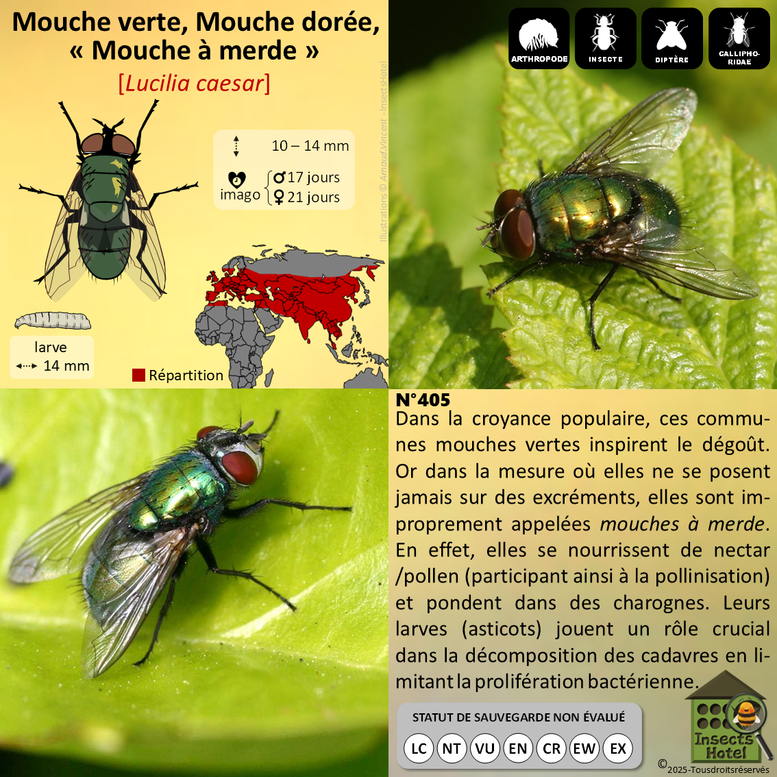 product_image_550642