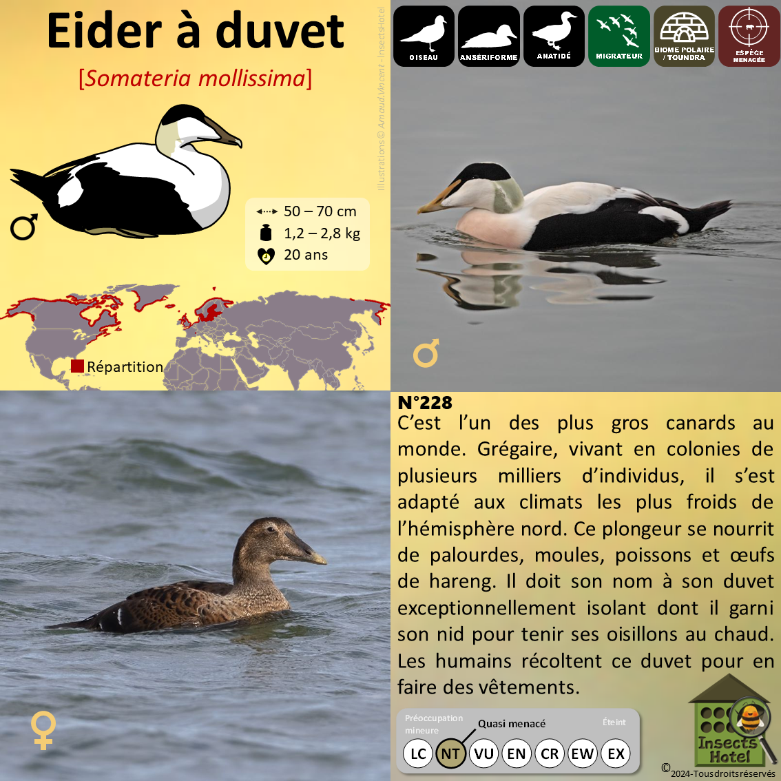 product_image_382187