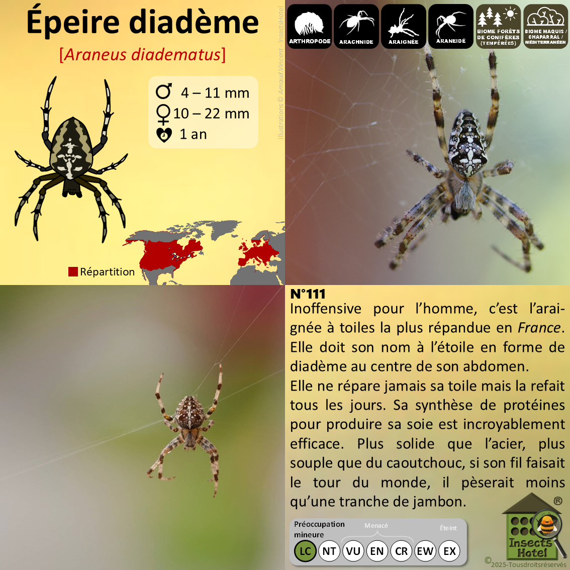 product_image_613313