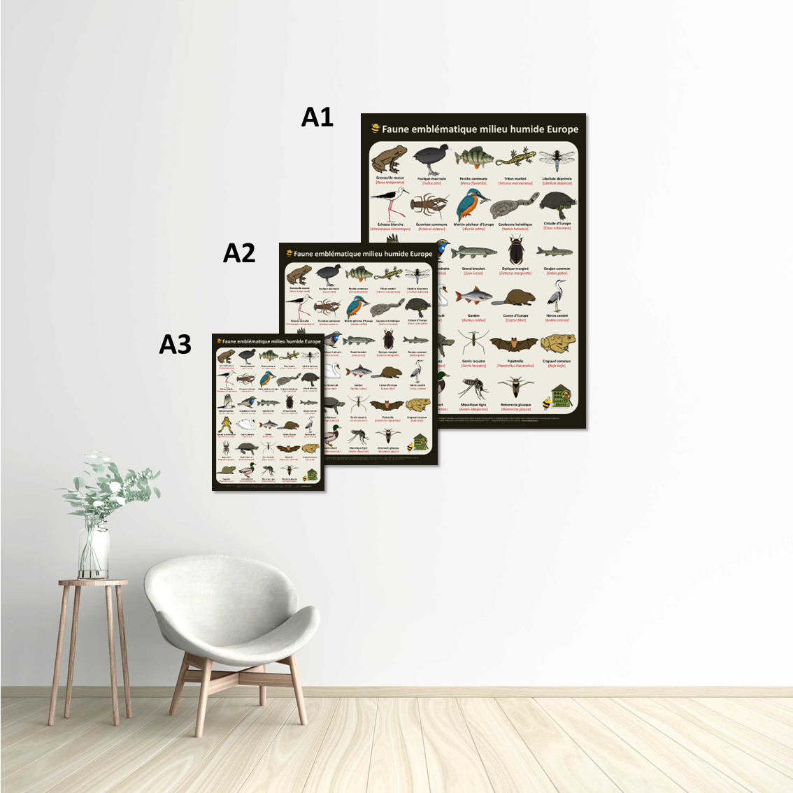 product_image_886183