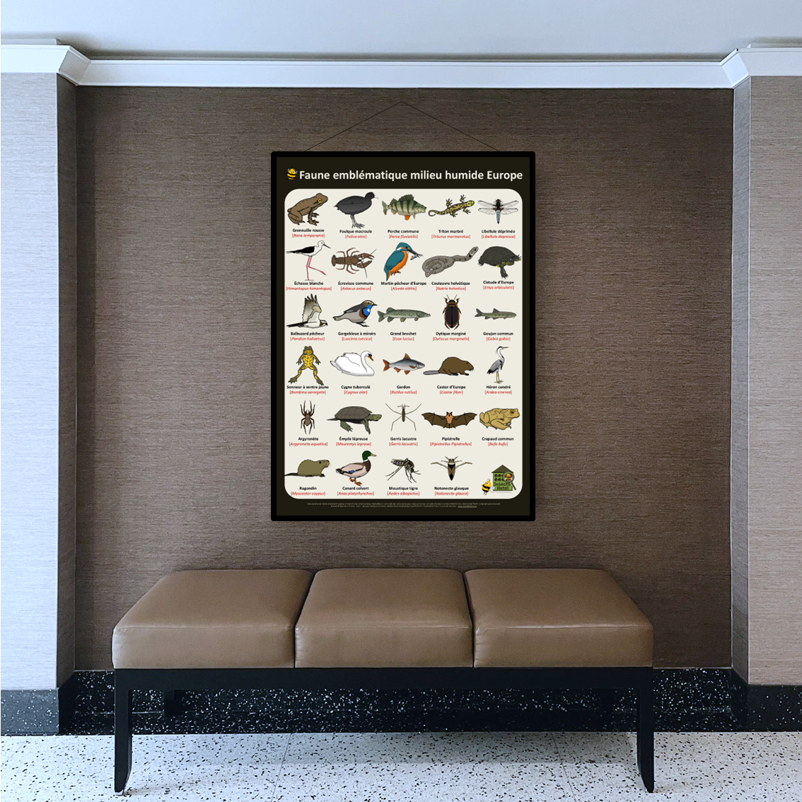 product_image_308964