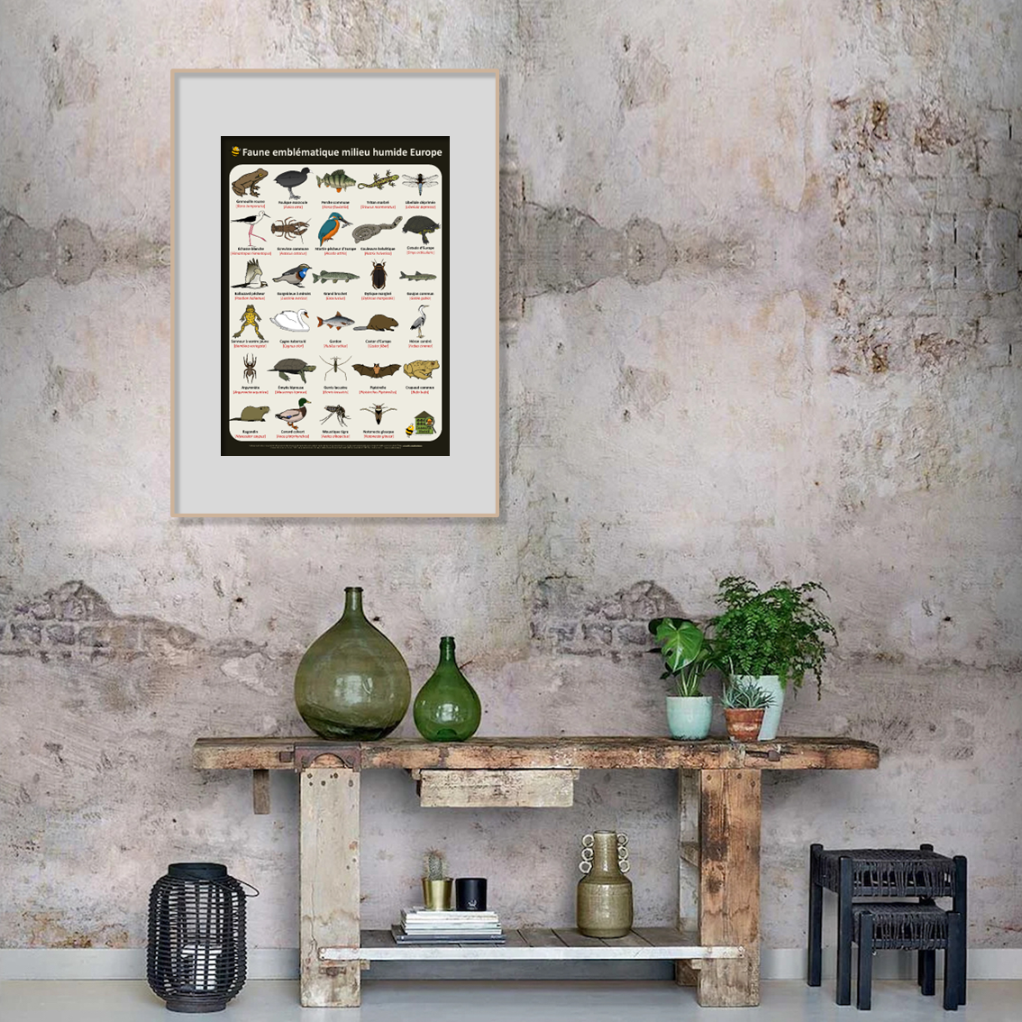 product_image_910427