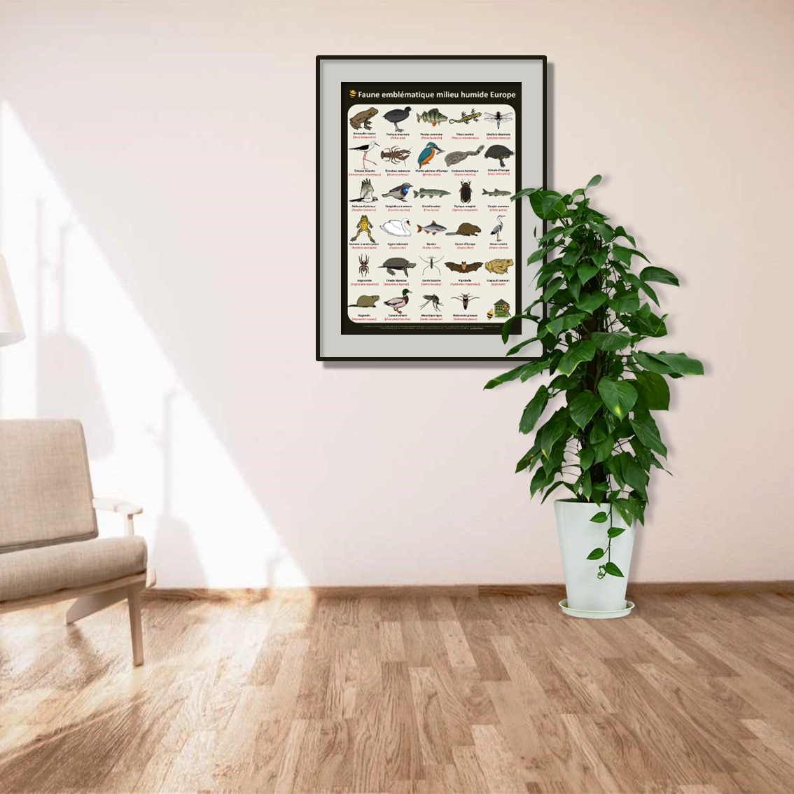 product_image_469913