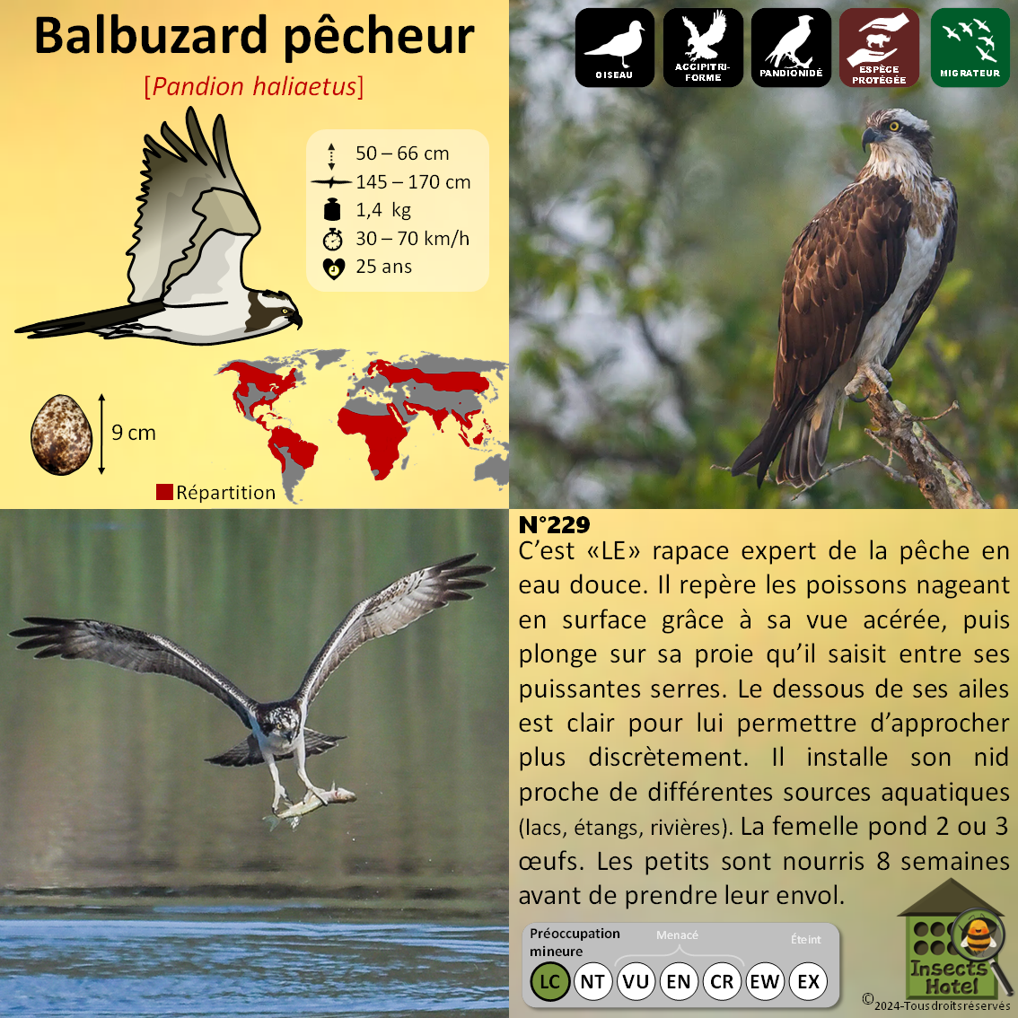 product_image_681975