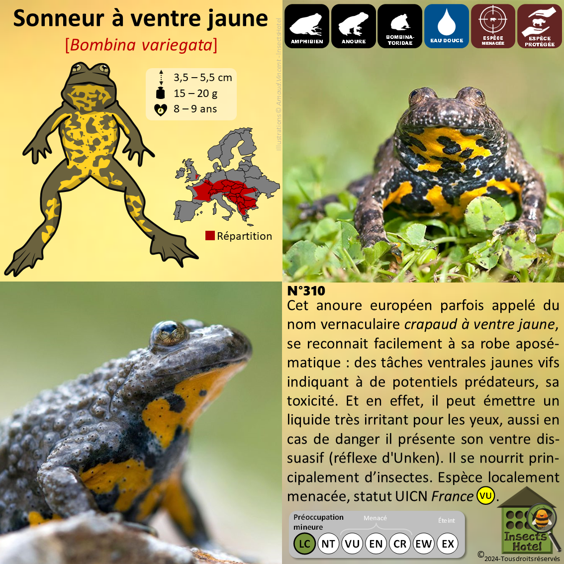 product_image_679351