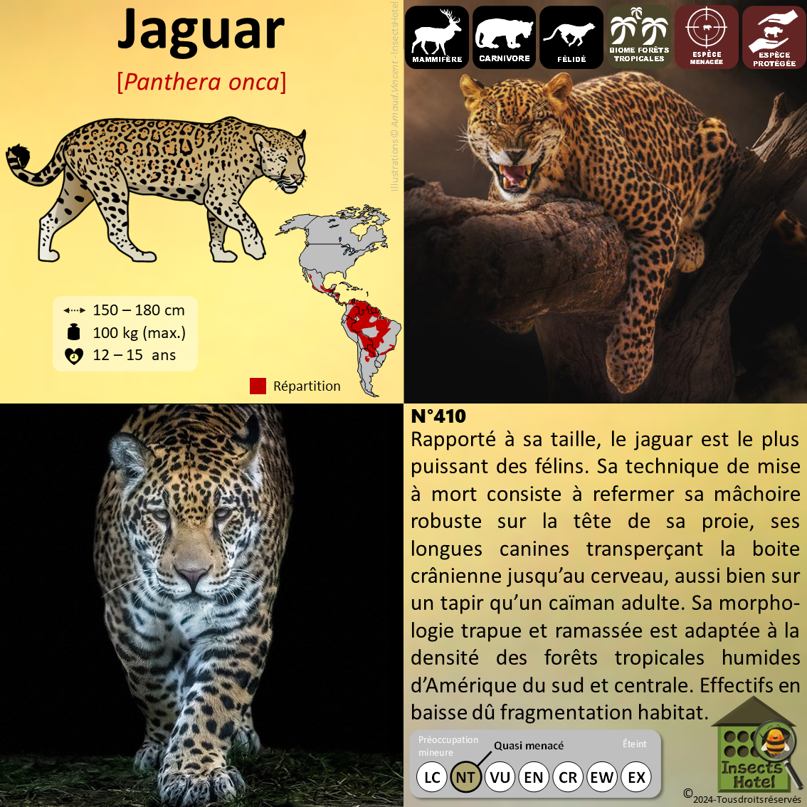 product_image_284807