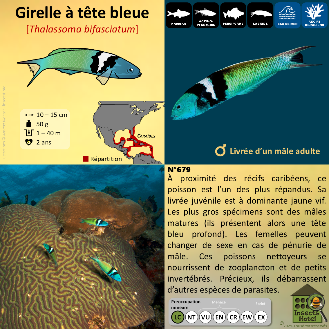 product_image_853250