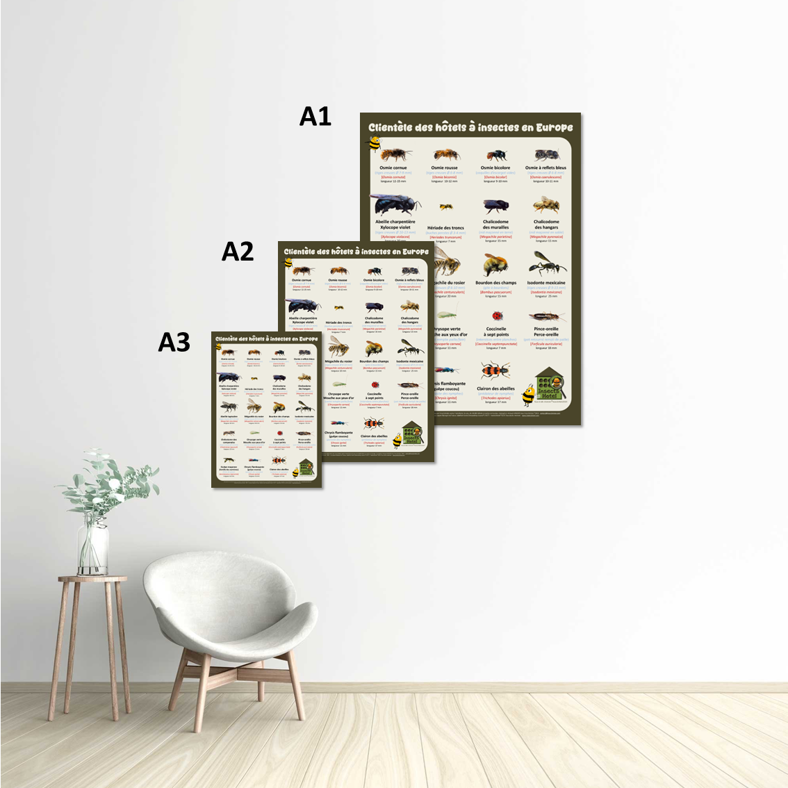 Image back Poster - Clientèle des hôtels à insectes en Europe