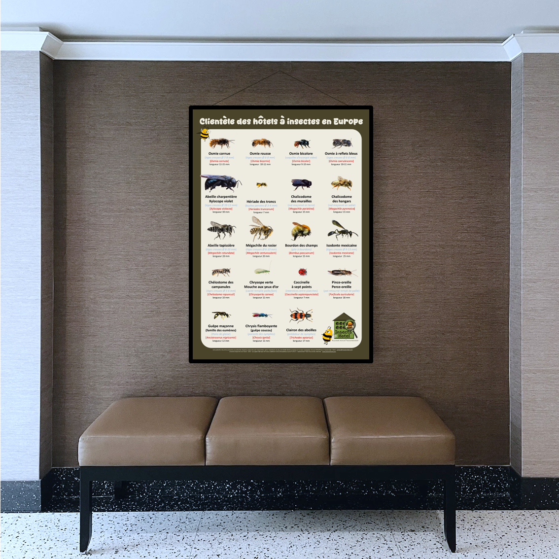 product_image_819252