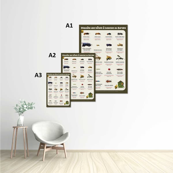 Image back Poster - Clientèle des hôtels à insectes en Europe