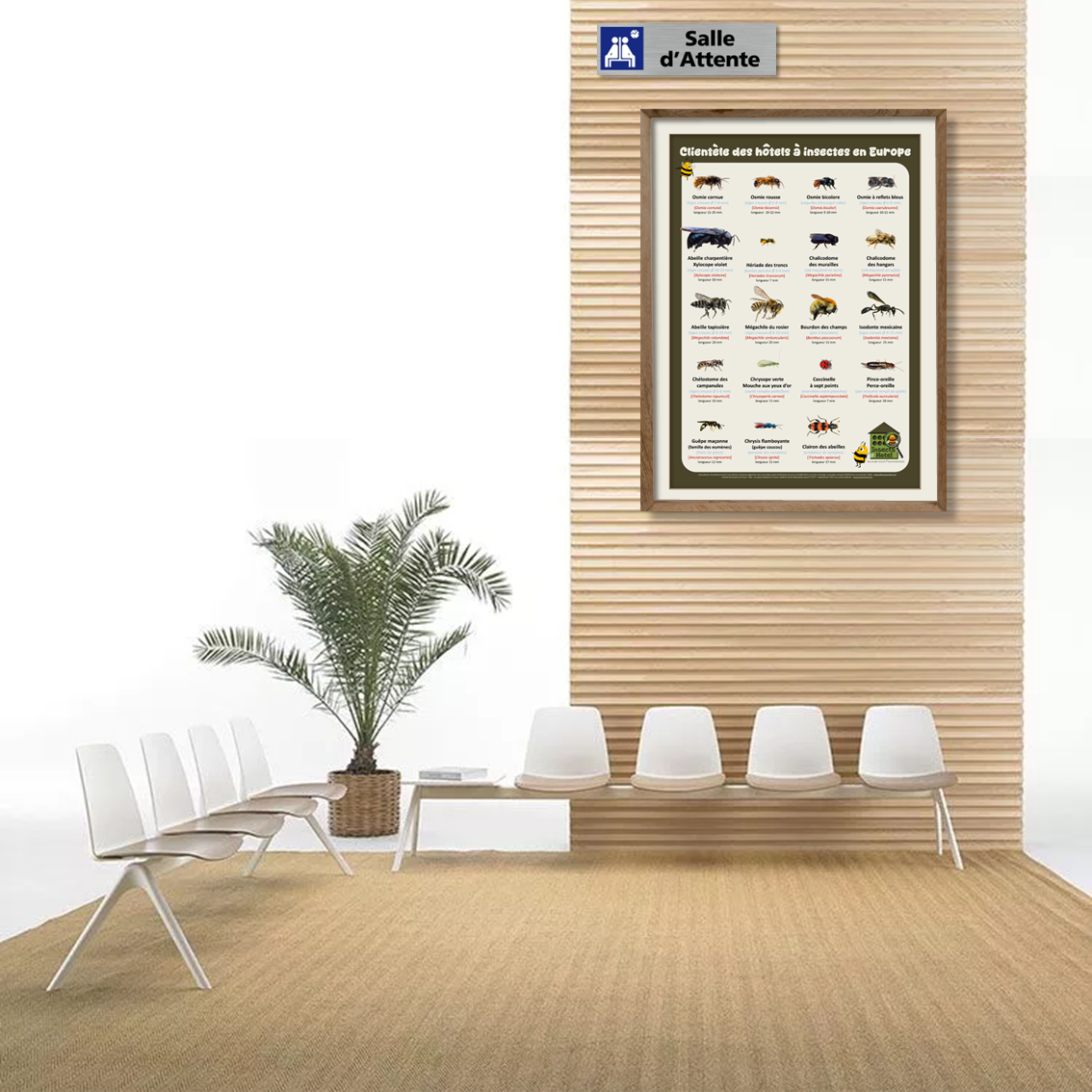 product_image_154072