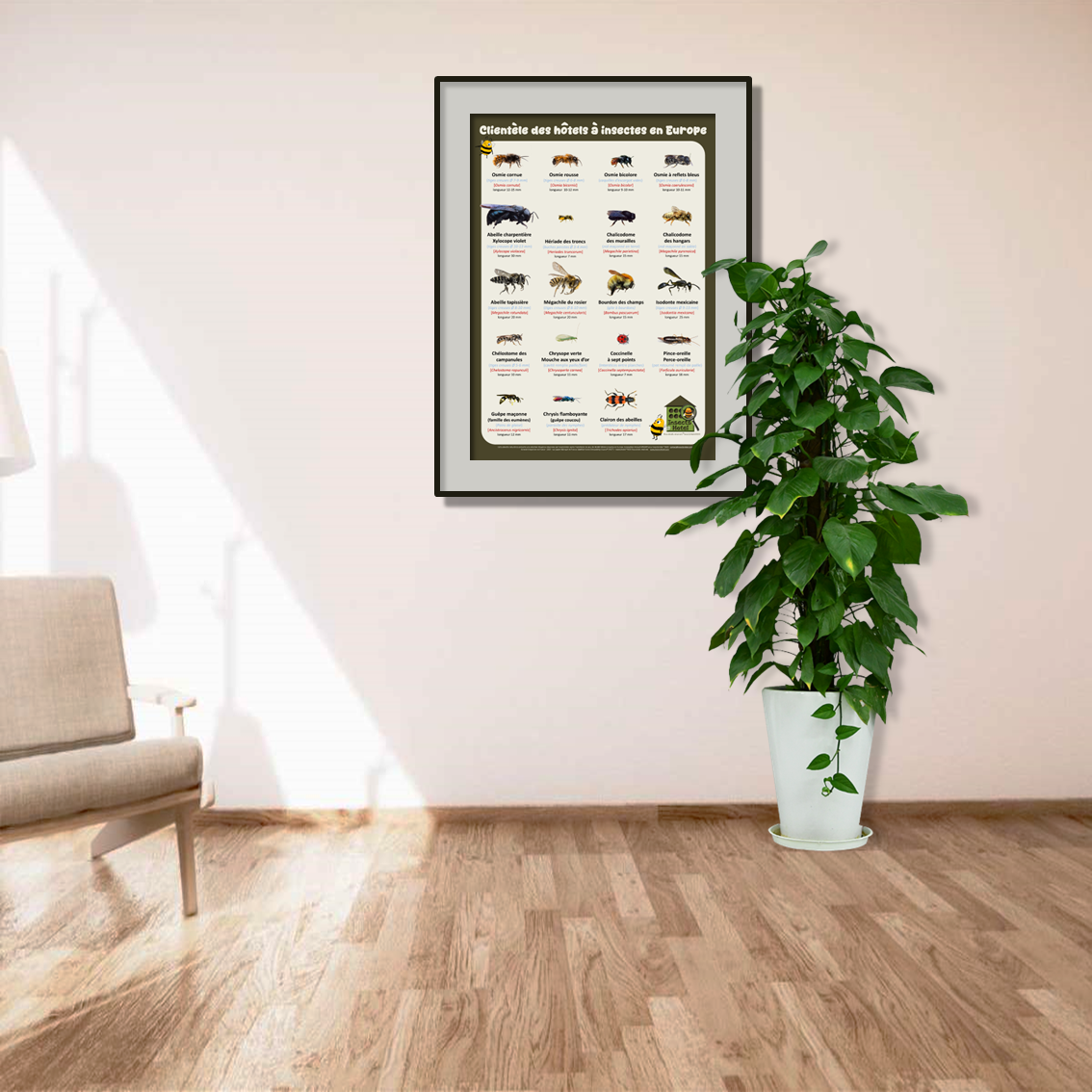 product_image_514852