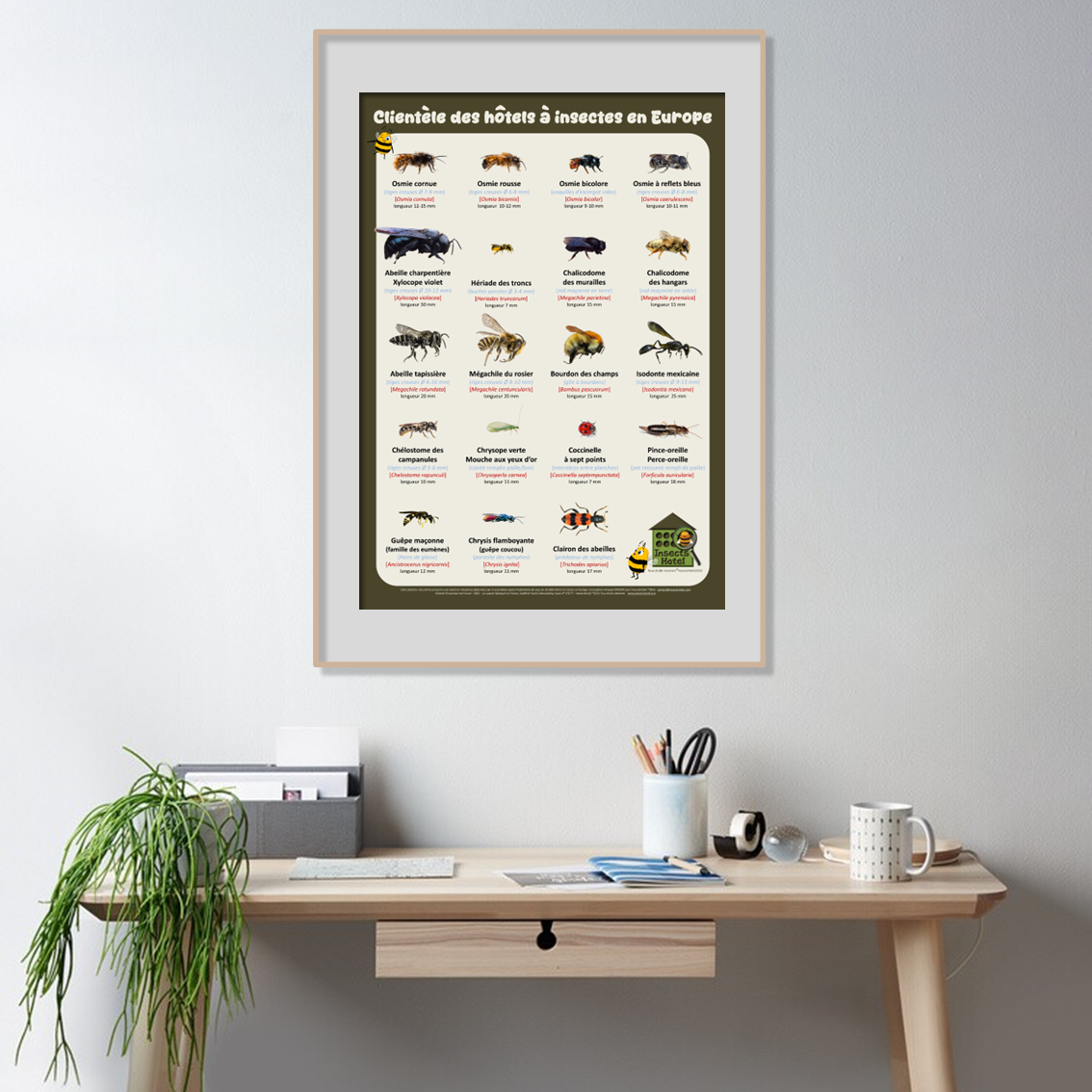 product_image_434777