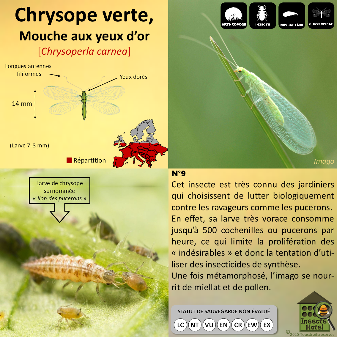 product_image_779855