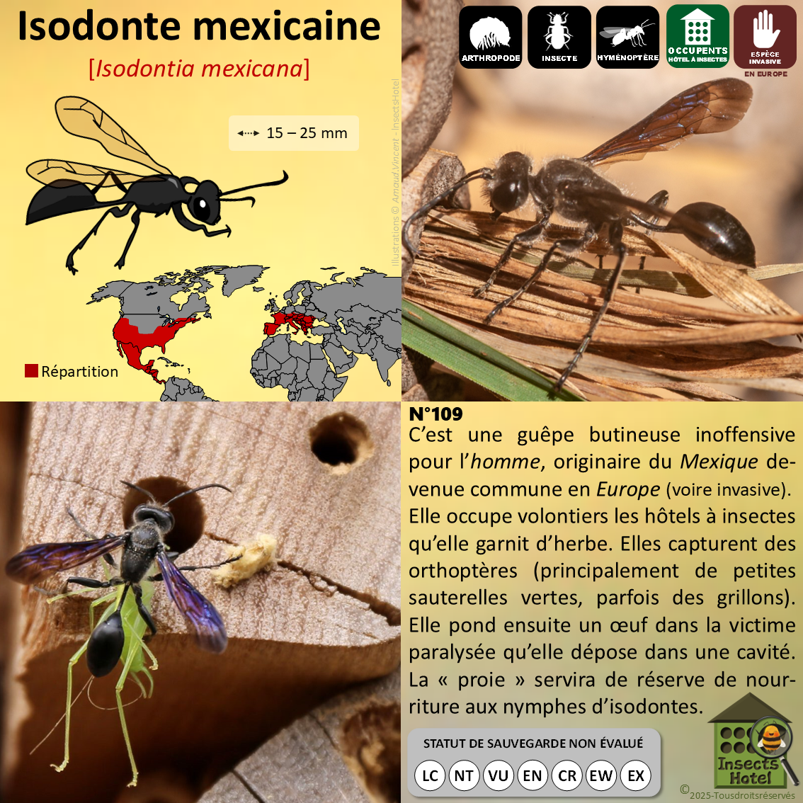 product_image_379606