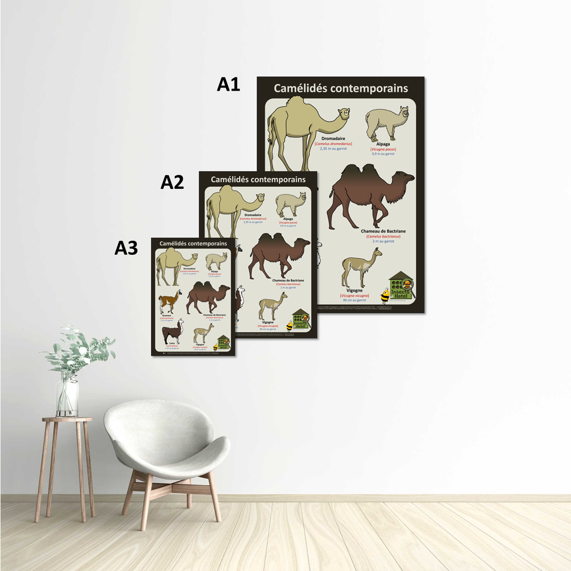 product_image_871134
