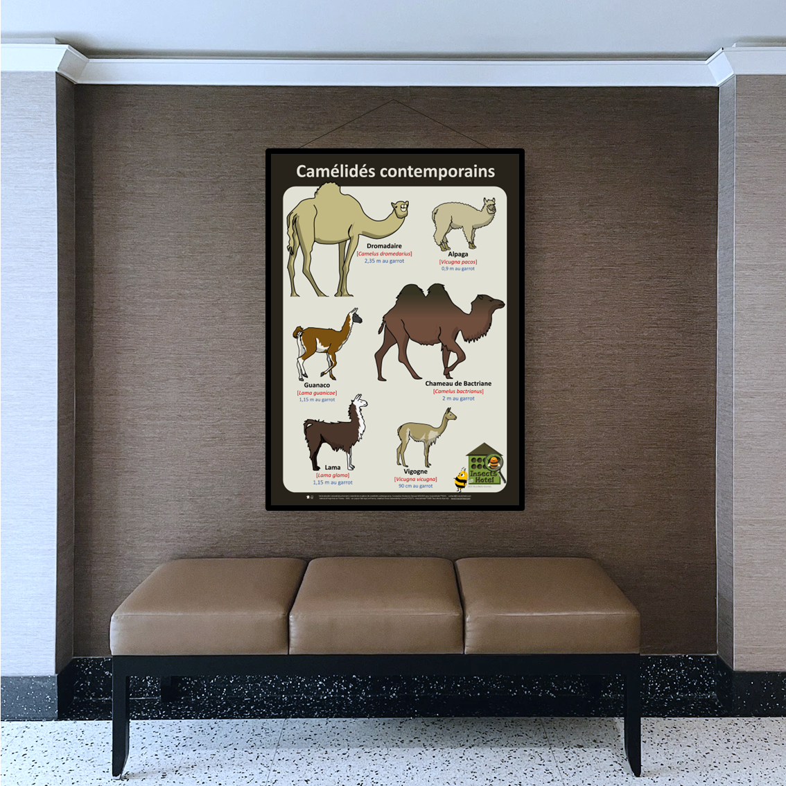 product_image_987879