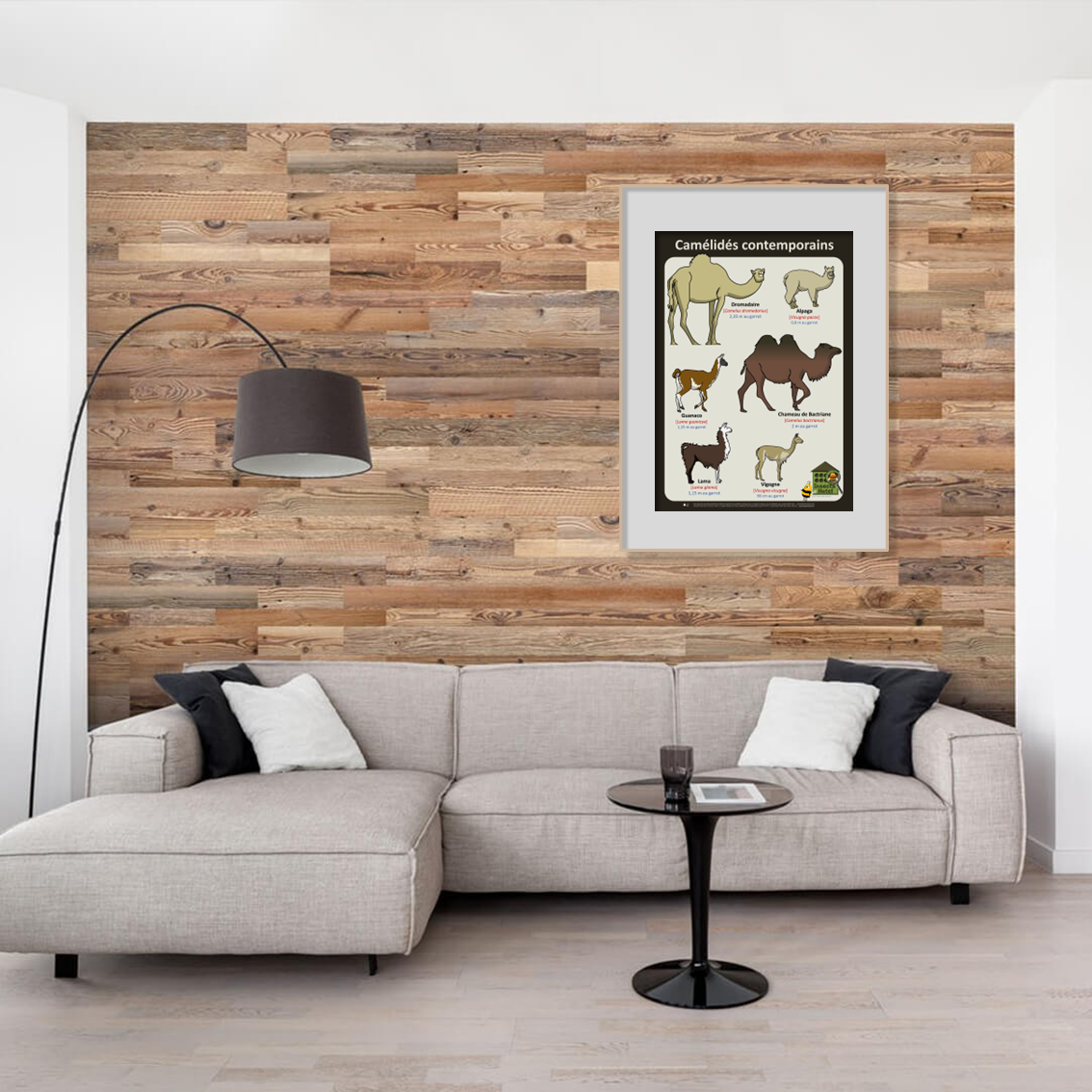 product_image_453274