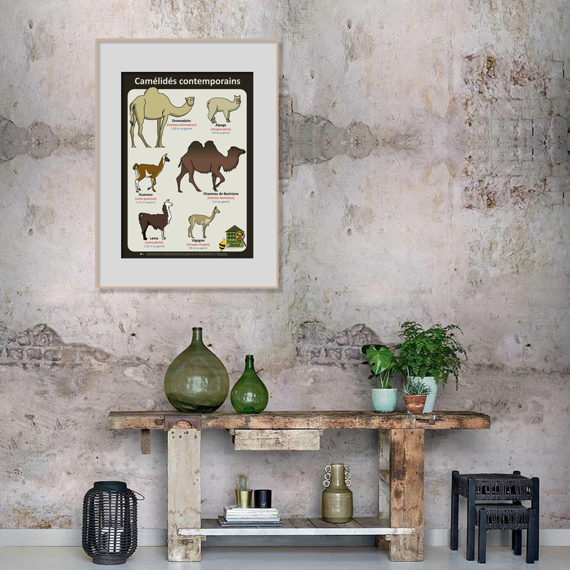 product_image_171149