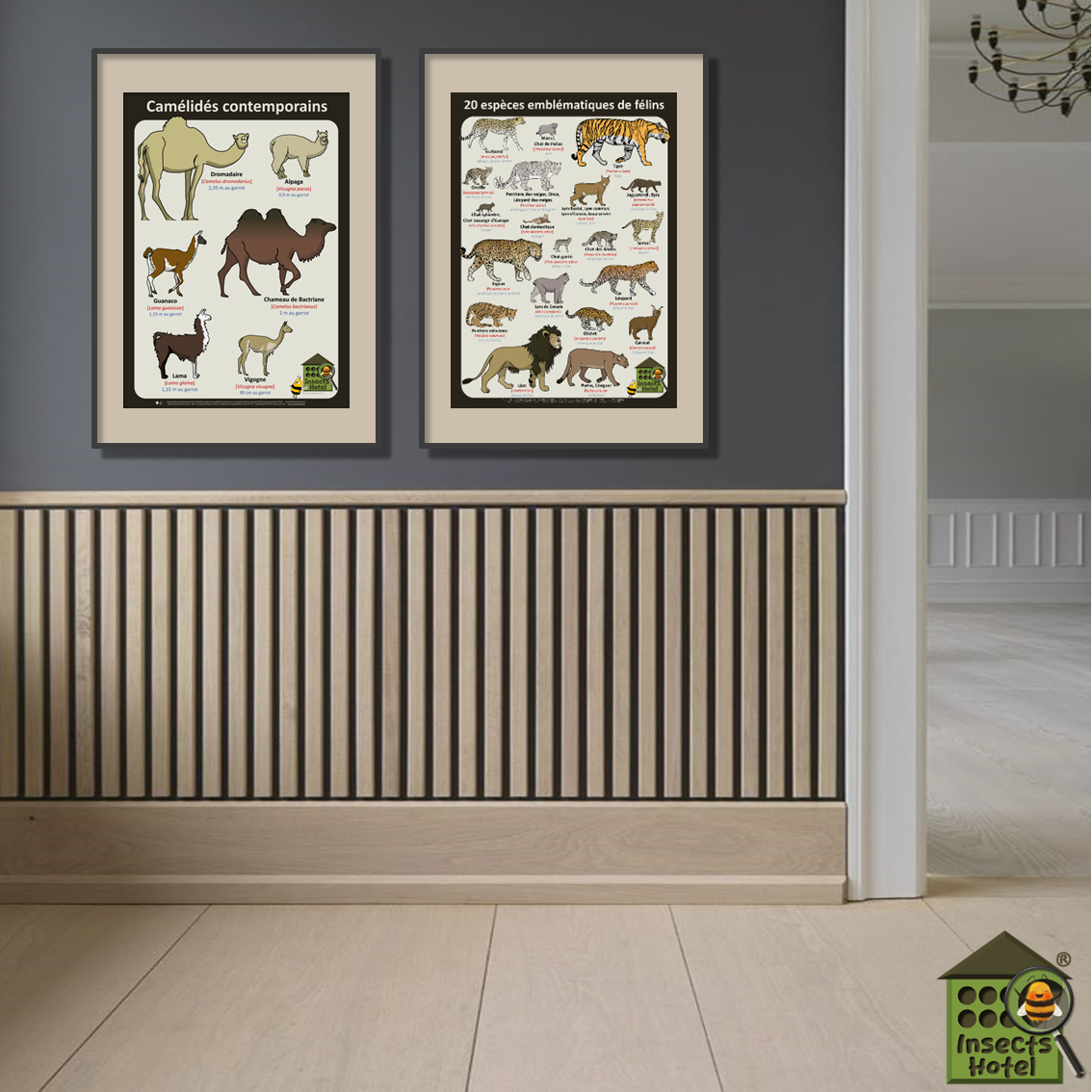 product_image_903134