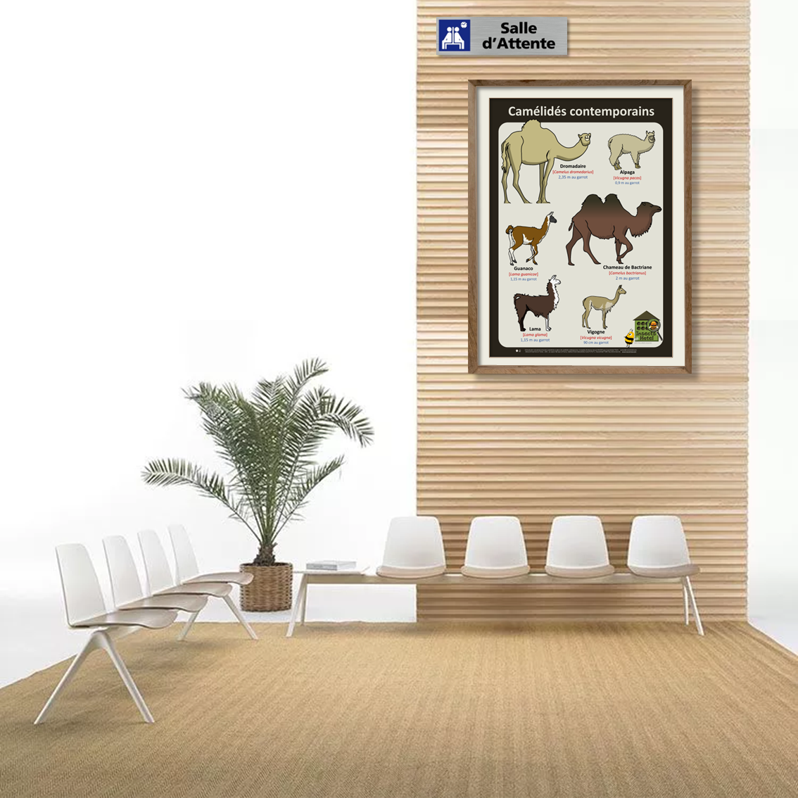 product_image_613832