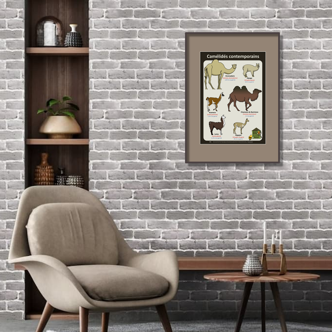 product_image_615099