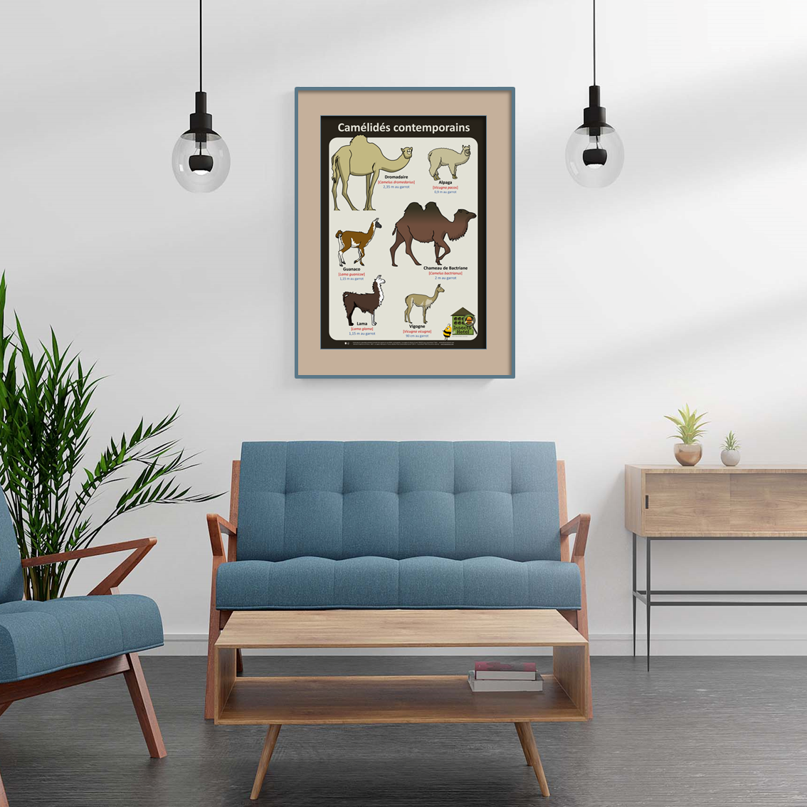 product_image_217219