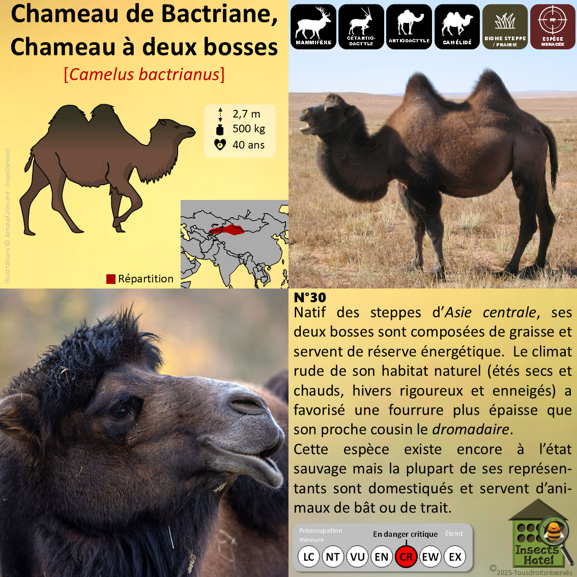 product_image_691248