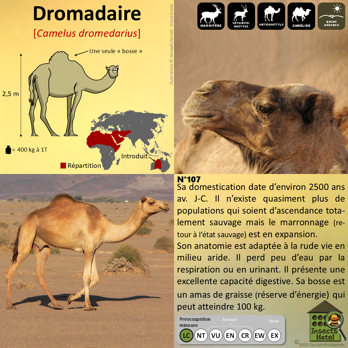 product_image_390453