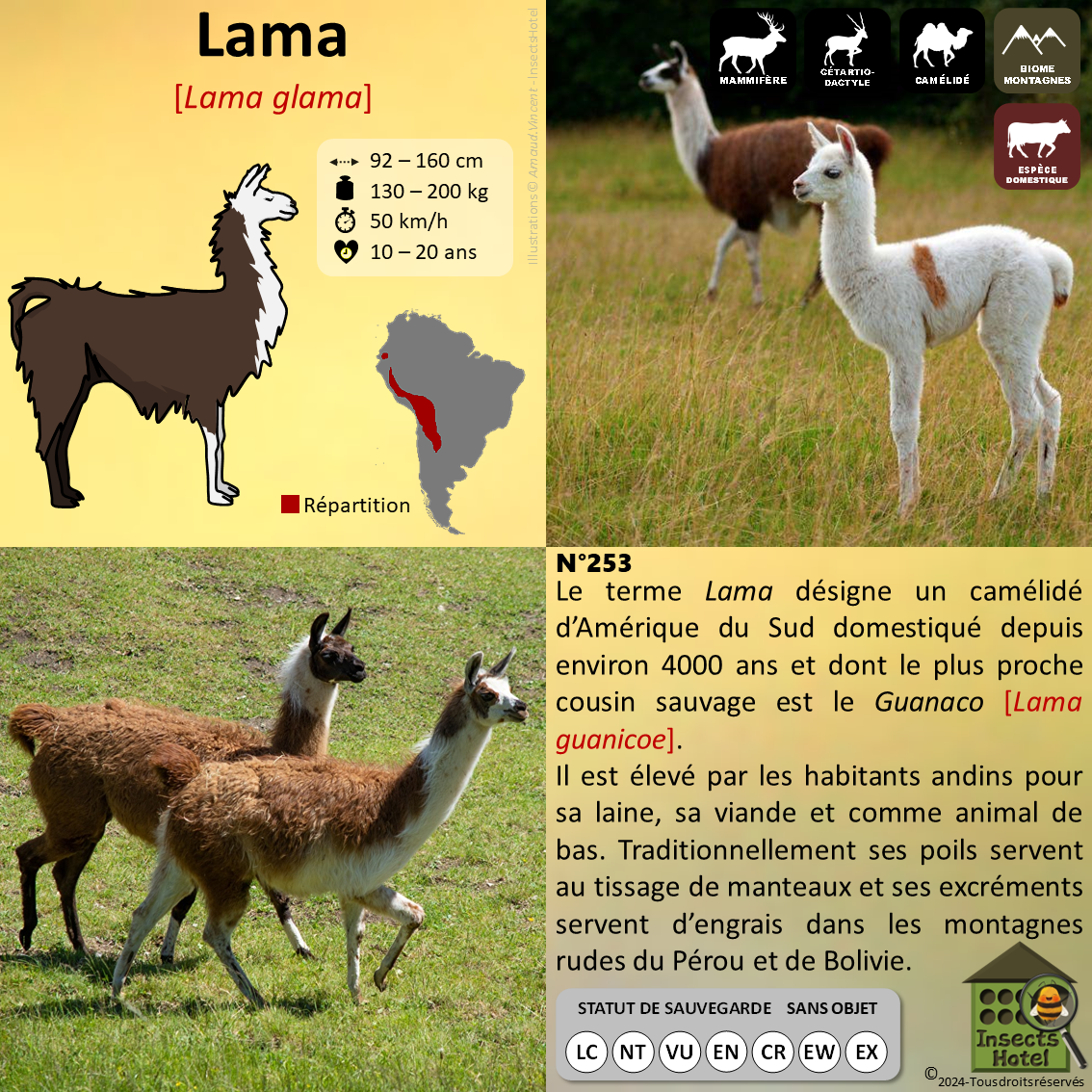 product_image_790007