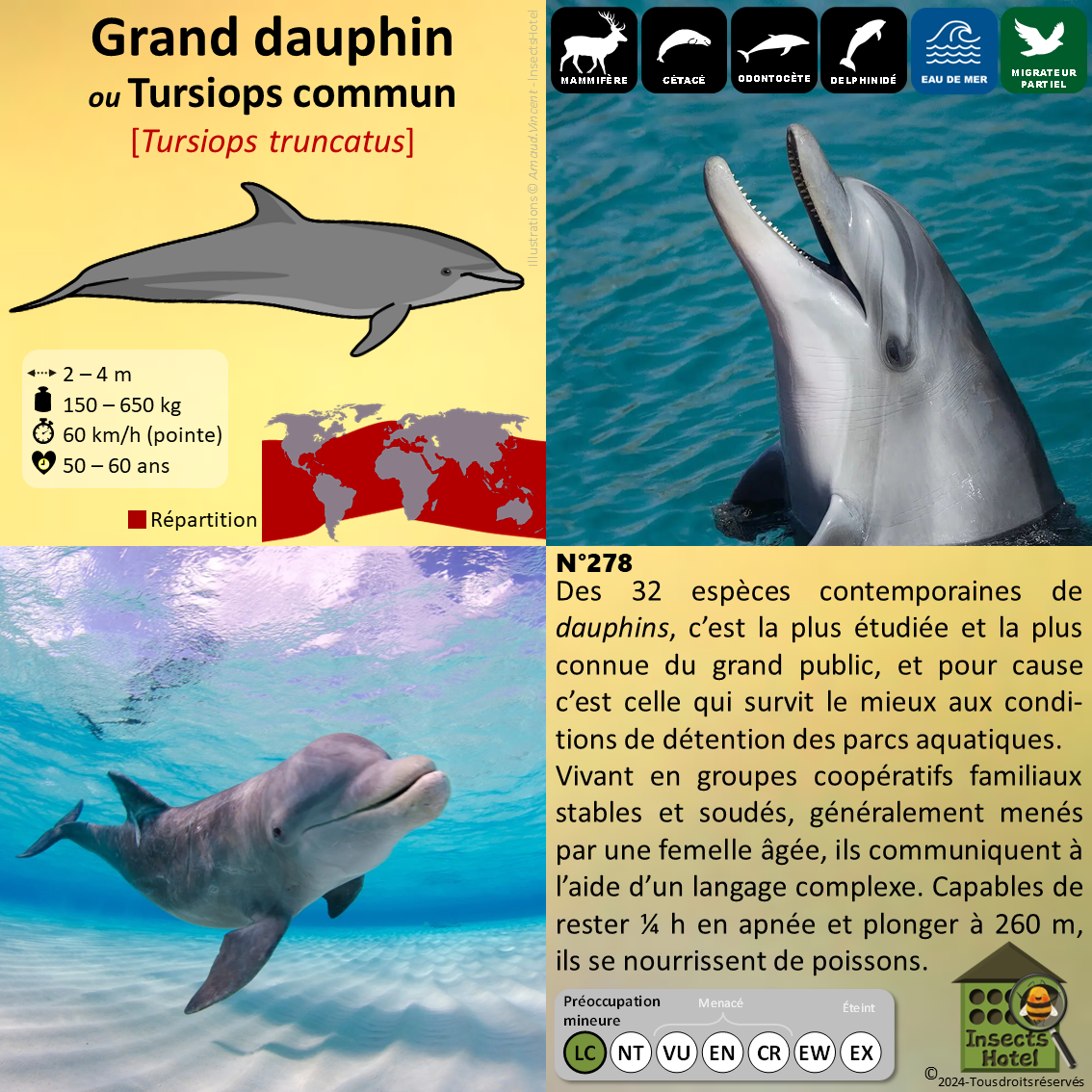 product_image_657817