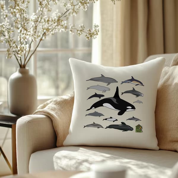 Image back Housse de coussin 100% coton (40 X 40 cm) - "Delphinidés du monde"