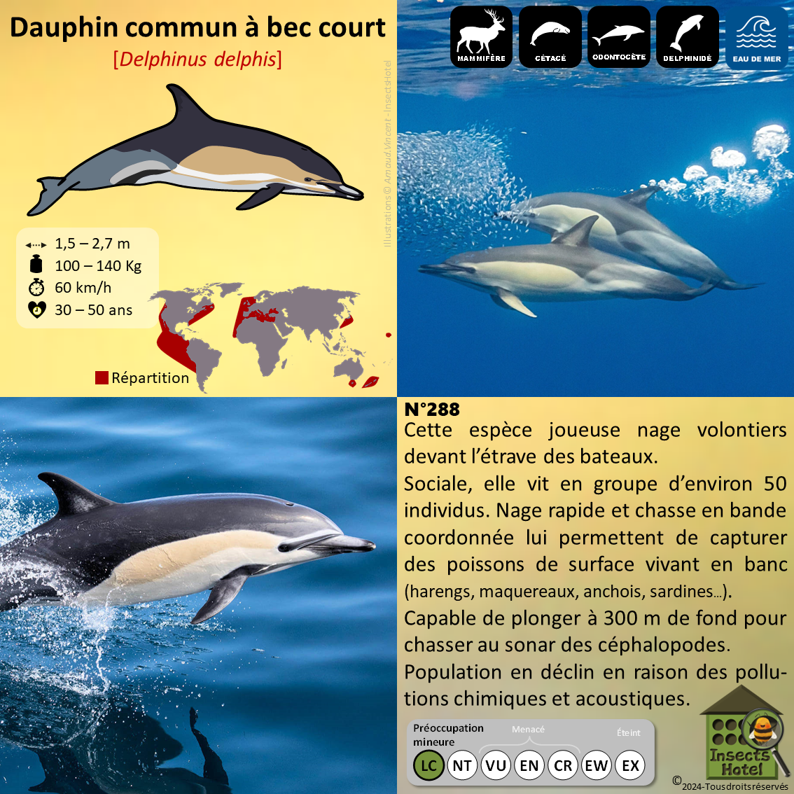 product_image_698509