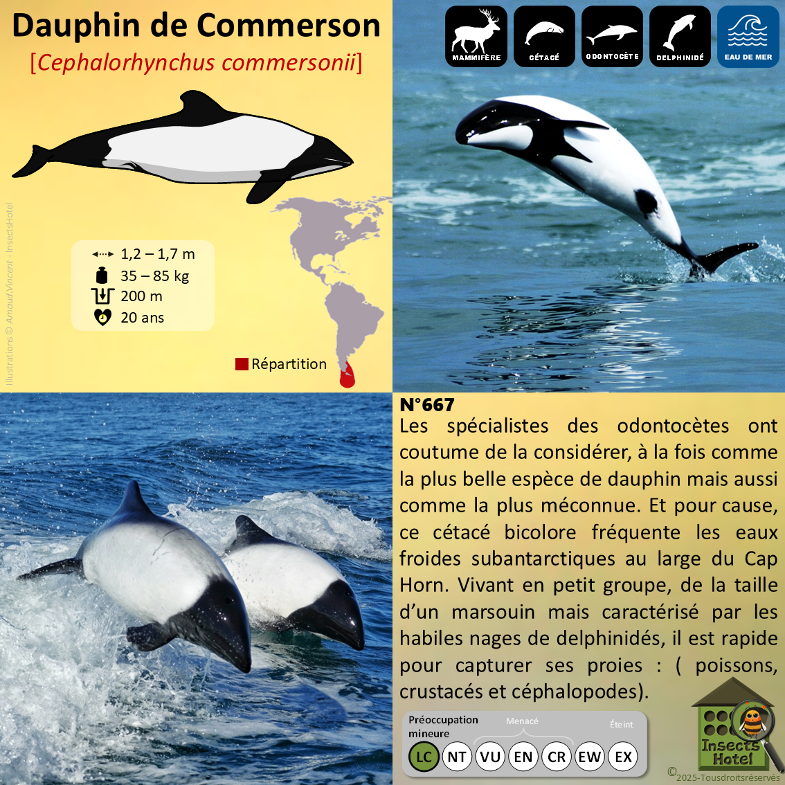 product_image_521443