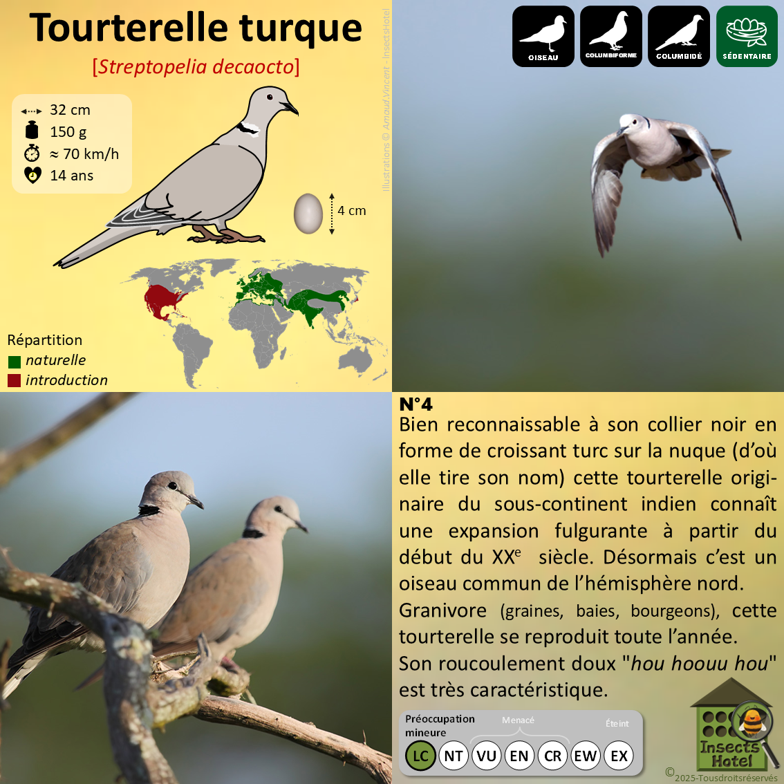 product_image_750122